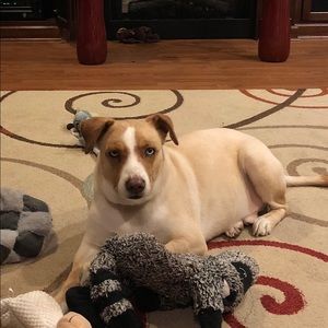 Meet your Posher, Rebecca